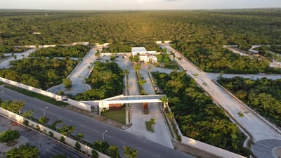 Descubre cómo comprar lotes residenciales en Yucatán en 4 sencillos pasos.